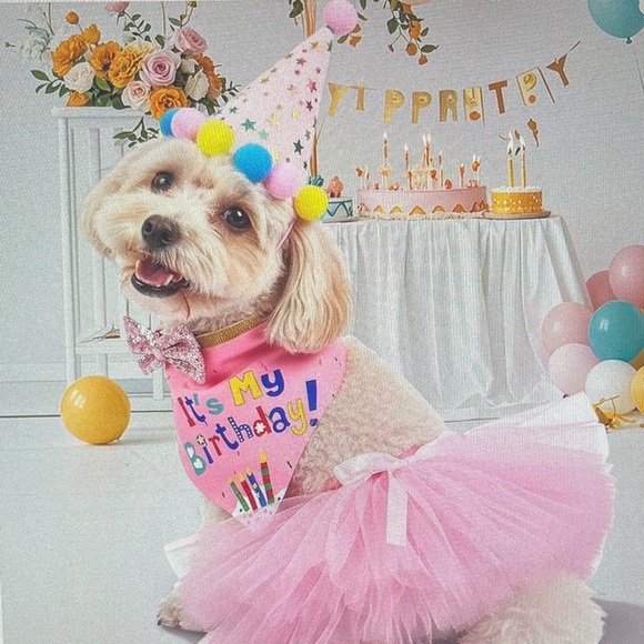 Other - Colorful Birthday Party Dog Costume Set